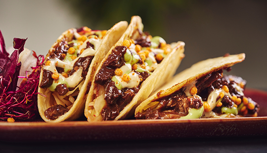 Korean wild taco
